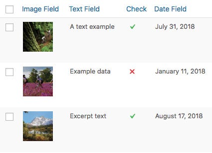 beyond the advanced custom fields ACF plugin in WordPress by amans199